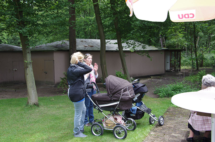 Zur Bildergalerie